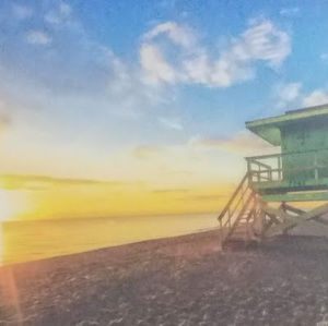 Meet your Posher, Shelby